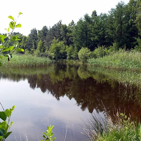 Nocleg ze śniadaniem Lokven Hoeve Vinkel