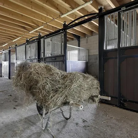Lokven Hoeve Vinkel