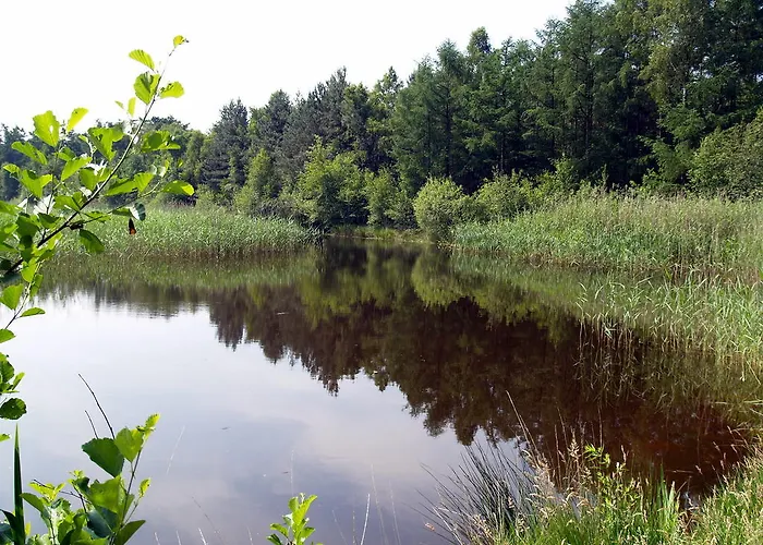 Nocleg ze śniadaniem Lokven Hoeve Vinkel